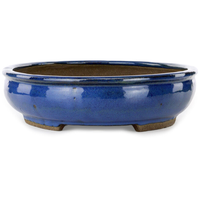 Oval blue bonsai pot by Taizan - 465 x 340 x 85 mm