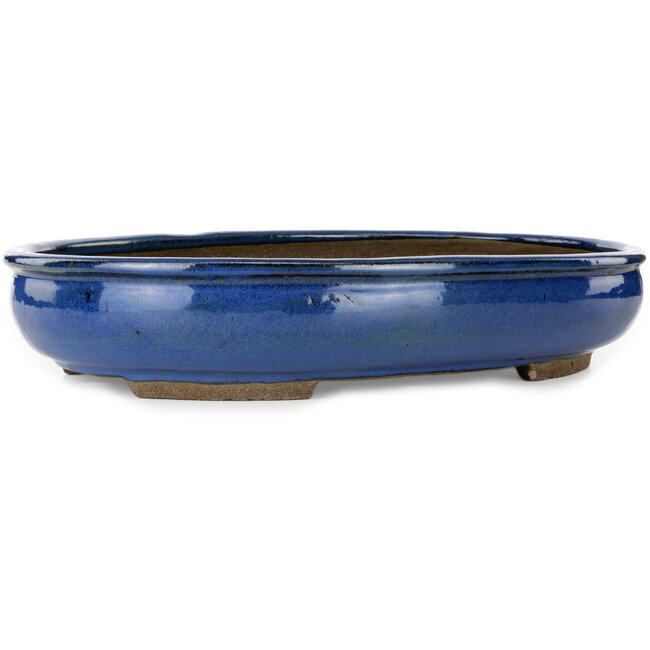 Pot à bonsaï ovale bleu par Taizan - 465 x 340 x 85 mm