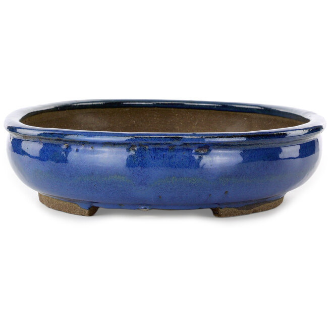 Vaso bonsai ovale blu di Taizan - 465 x 340 x 85 mm
