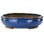 Pot à bonsaï ovale bleu par Taizan - 465 x 340 x 85 mm