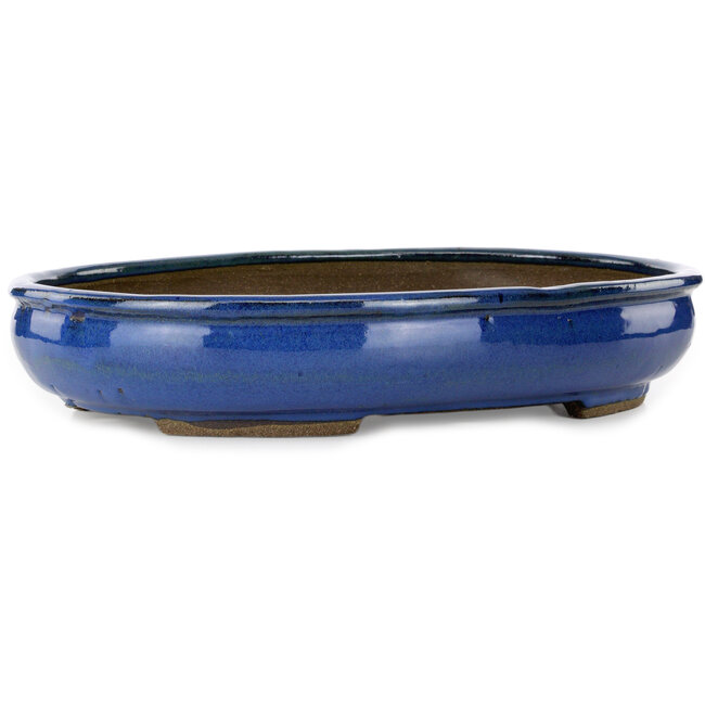 Pot à bonsaï ovale bleu par Taizan - 465 x 340 x 85 mm