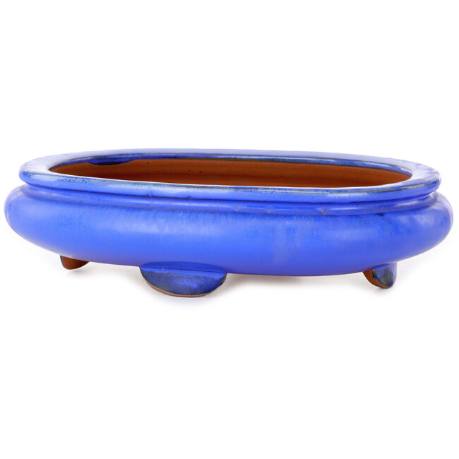 Maceta ovalada azul para bonsái - 280 x 210 x 70 mm