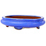 Pot ovale bleu pour bonsaï - 280 x 210 x 70 mm