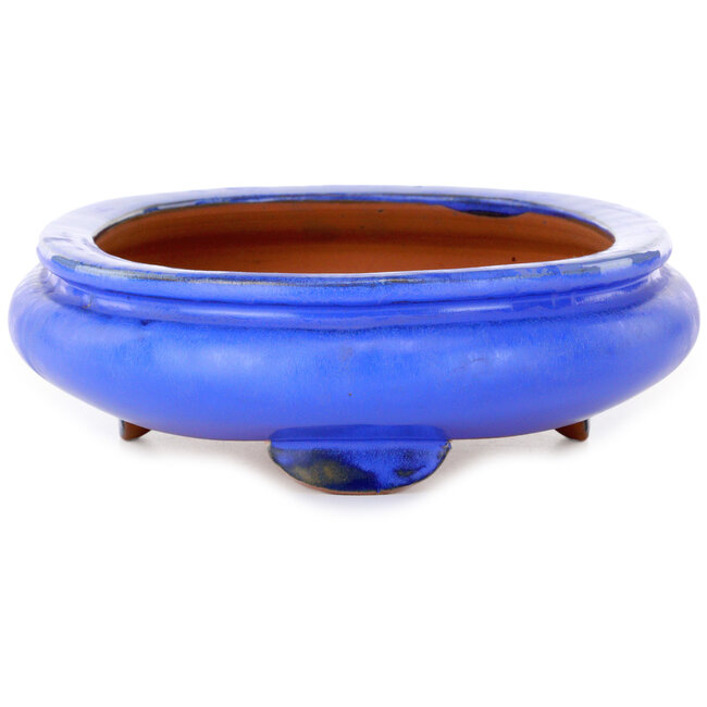 Oval blue bonsai pot - 280 x 210 x 70 mm