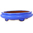 Vaso bonsai ovale blu - 280 x 210 x 70 mm