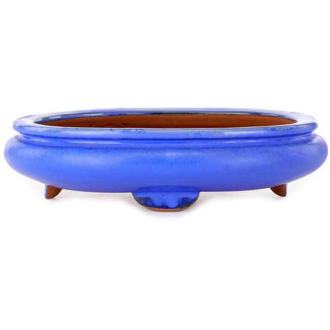 Ovaler blauer Bonsai-Topf – 280 x 210 x 70 mm
