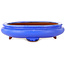 Ovale blauwe bonsaipot - 280 x 210 x 70 mm