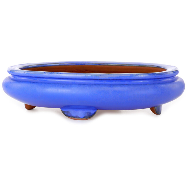 Pot ovale bleu pour bonsaï - 280 x 210 x 70 mm
