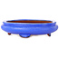 Maceta ovalada azul para bonsái - 280 x 210 x 70 mm