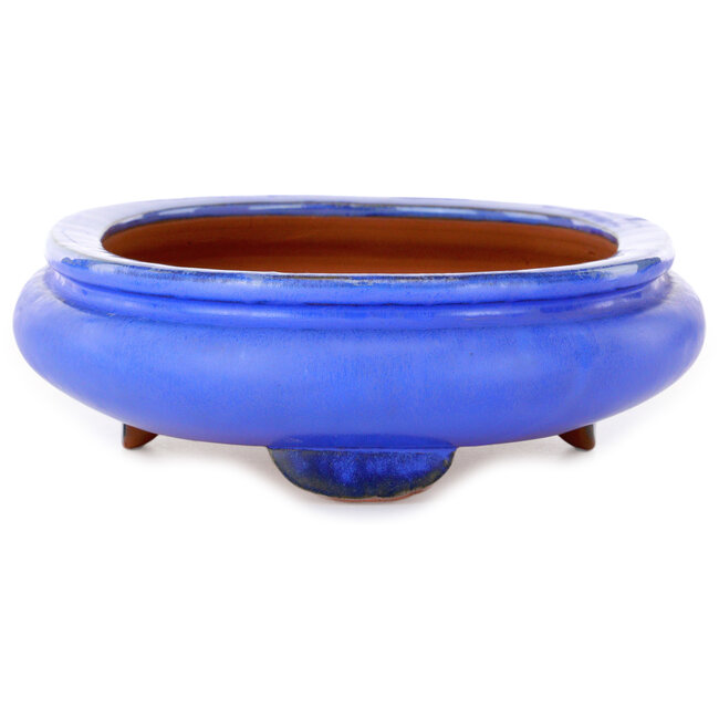 Ovaler blauer Bonsai-Topf – 280 x 210 x 70 mm