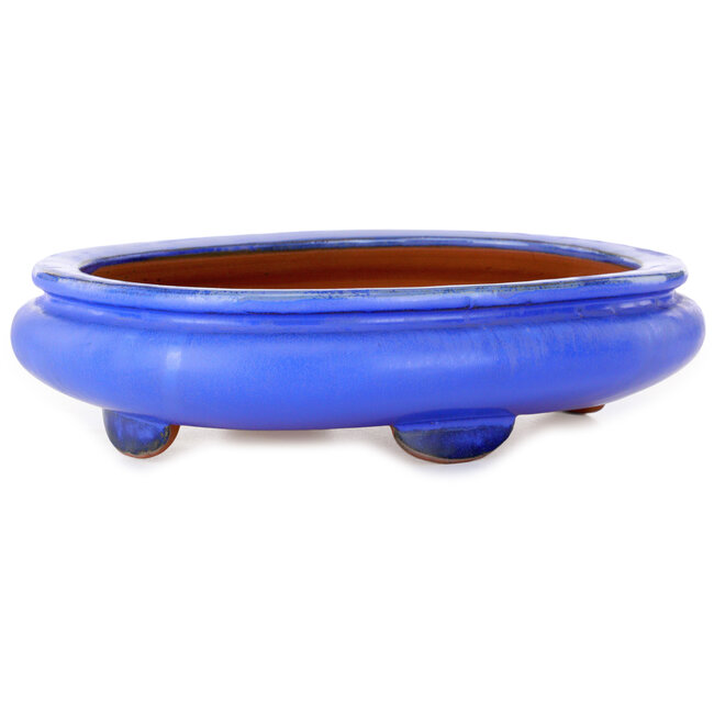 Ovale blauwe bonsaipot - 280 x 210 x 70 mm