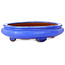 Pot ovale bleu pour bonsaï - 280 x 210 x 70 mm