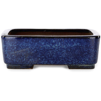  Satomi Mazan, Mazan Terahata Vaso bonsai rettangolare blu da 240 mm di Terahata Satomi Mazan, Tokoname, Giappone