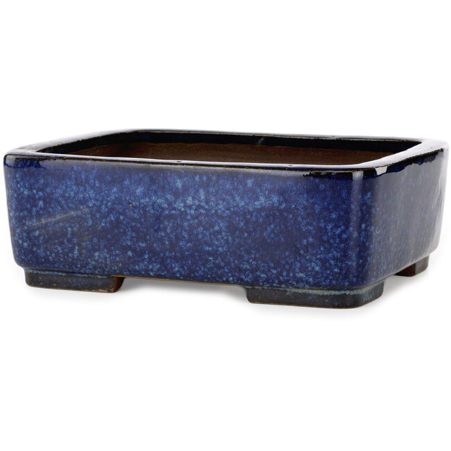 Maceta rectangular para bonsái azul de Terahata Satomi Mazan - 240 x 205 x 80 mm