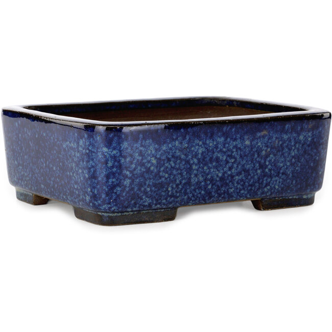 Rectangular blue bonsai pot by Terahata Satomi Mazan - 240 x 205 x 80 mm
