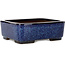 Pot à bonsaï rectangulaire bleu par Terahata Satomi Mazan - 240 x 205 x 80 mm