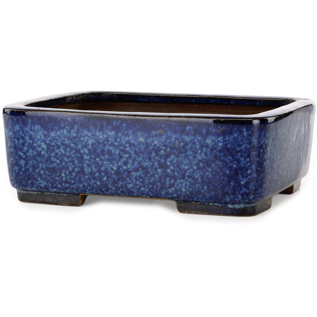 Maceta rectangular para bonsái azul de Terahata Satomi Mazan - 240 x 205 x 80 mm