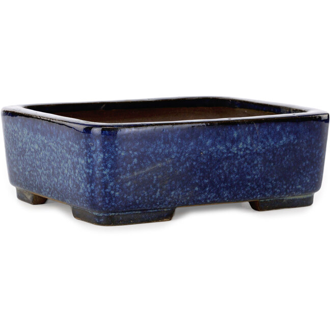 Vaso bonsai rettangolare blu di Terahata Satomi Mazan - 240 x 205 x 80 mm