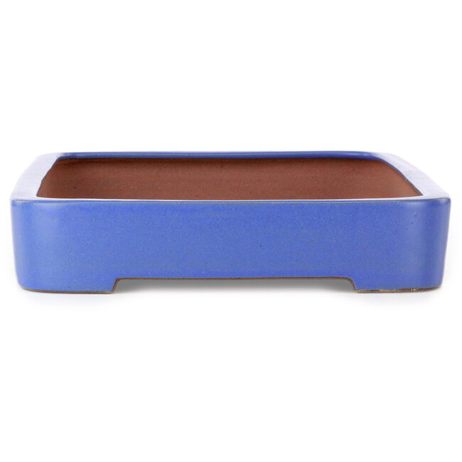 Rectangular blue bonsai pot by Seizan (Reihou, Kataoka Katsushi, master Seizan kiln) - 465 x 325 x 62 mm
