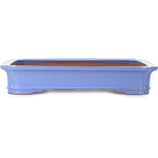 Seizan (Reihou, Kataoka Katsushi, master Seizan kiln) 505 mm rectangular blue bonsai pot by Seizan (Reihou, Kataoka Katsushi, master Seizan kiln), Tokoname, Japan