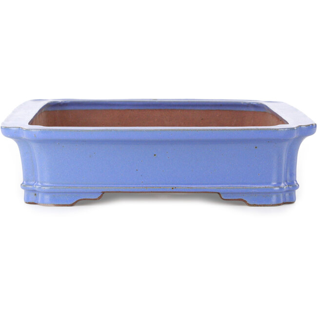 Maceta rectangular para bonsái azul de Seizan (Reihou, Kataoka Katsushi, maestro del horno Seizan) - 505 x 365 x 90 mm