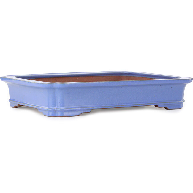 Rectangular blue bonsai pot by Seizan (Reihou, Kataoka Katsushi, master Seizan kiln) - 505 x 365 x 90 mm