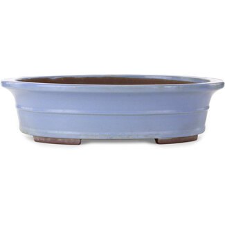  Yamaaki Vaso bonsai ovale blu da 500 mm di Yamaaki Toshio (terza generazione), Tokoname, Giappone