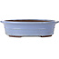 Vaso bonsai ovale blu di Yamaaki Toshio (terza generazione) - 500 x 410 x 130 mm