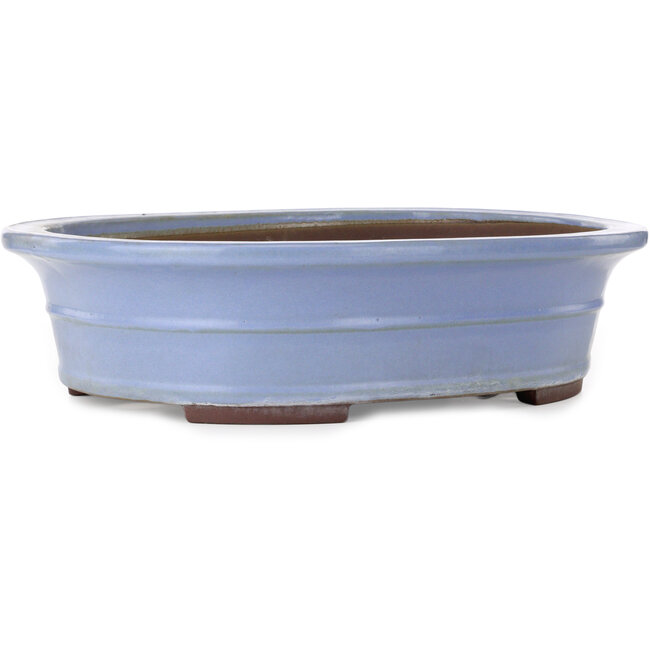 Maceta ovalada azul para bonsái de Yamaaki Toshio (tercera generación) - 500 x 410 x 130 mm