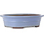 Vaso bonsai ovale blu di Yamaaki Toshio (terza generazione) - 500 x 410 x 130 mm