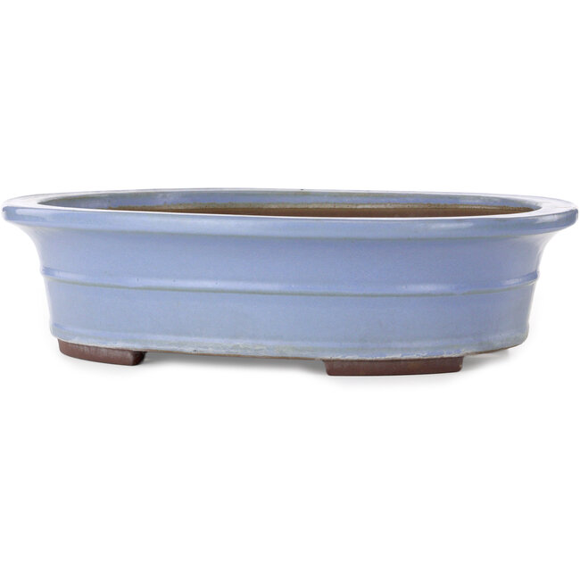 Pot à bonsaï ovale bleu de Yamaaki Toshio (troisième génération) - 500 x 410 x 130 mm