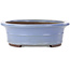 Ovaler blauer Bonsai-Topf von Yamaaki Toshio (dritte Generation) – 500 x 410 x 130 mm