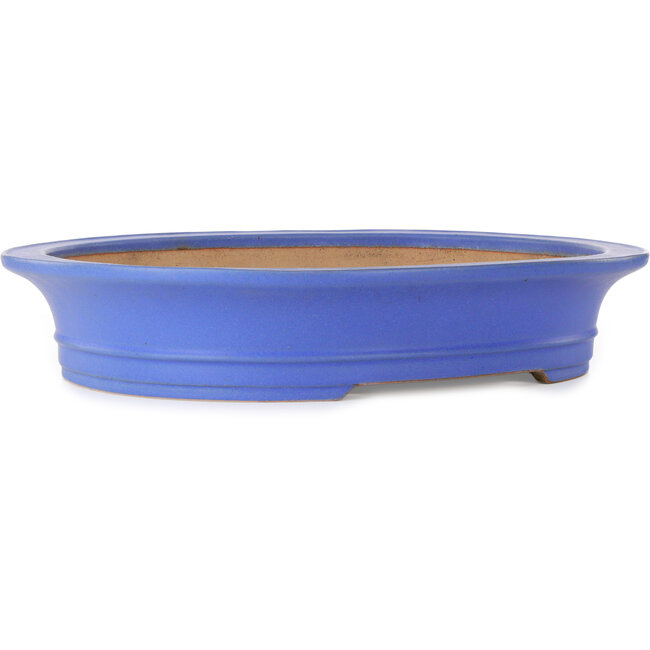 Oval blue bonsai pot by Seizan (Reihou, Kataoka Katsushi, master Seizan kiln) - 565 x 470 x 105 mm