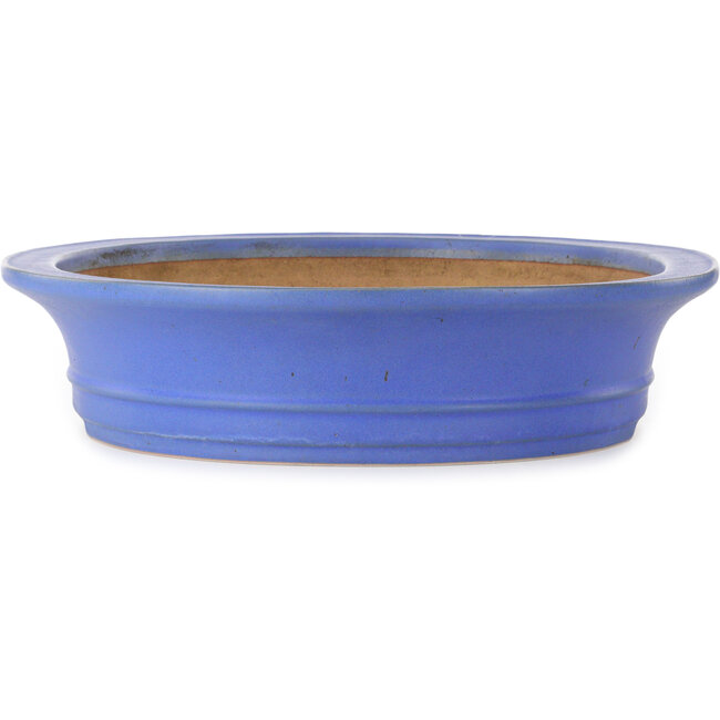 Vaso bonsai ovale blu di Seizan (Reihou, Kataoka Katsushi, forno del maestro Seizan) - 565 x 470 x 105 mm