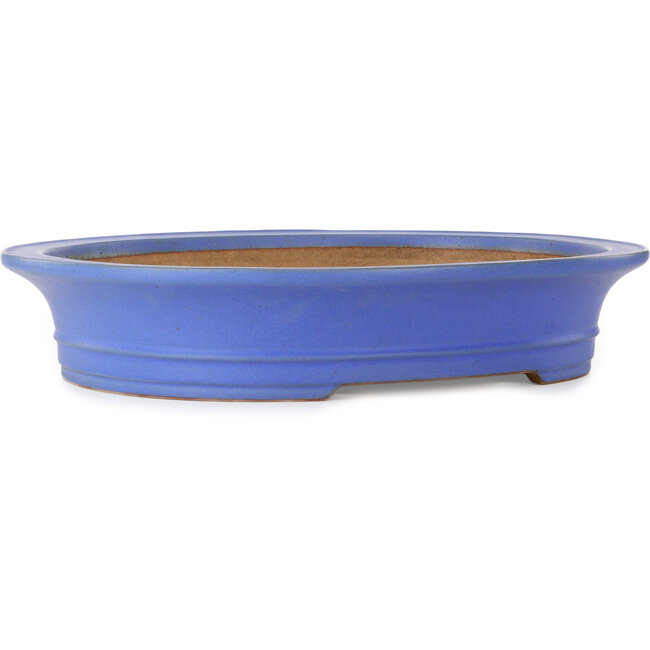 Oval blue bonsai pot by Seizan (Reihou, Kataoka Katsushi, master Seizan kiln) - 565 x 470 x 105 mm