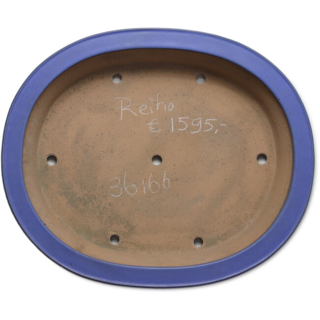 Oval blue bonsai pot by Seizan (Reihou, Kataoka Katsushi, master Seizan kiln) - 565 x 470 x 105 mm