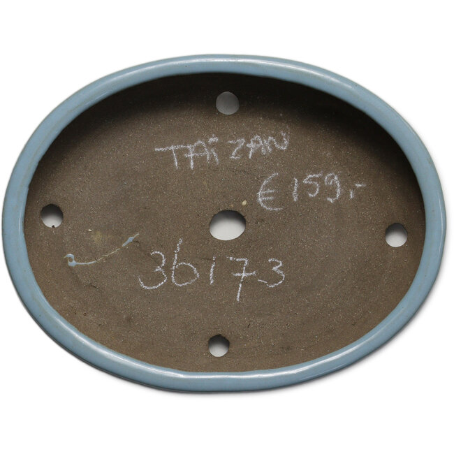 Ovaler blauer Bonsaitopf von Taizan – 325 x 250 x 65 mm