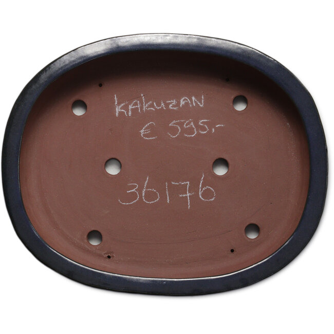 Maceta ovalada azul para bonsái de Kakuzan - 455 x 355 x 105 mm