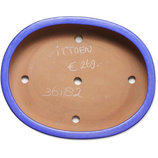 Ovaler blauer Bonsai-Topf von Itouen – 410 x 325 x 85 mm