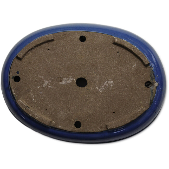 Vaso bonsai ovale blu di Taizan - 465 x 340 x 85 mm