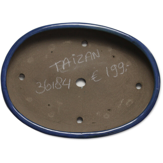 Vaso bonsai ovale blu di Taizan - 465 x 340 x 85 mm