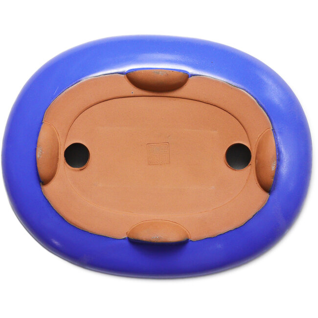 Pot ovale bleu pour bonsaï - 280 x 210 x 70 mm