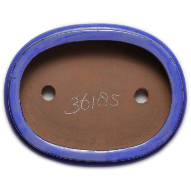 Vaso bonsai ovale blu - 280 x 210 x 70 mm