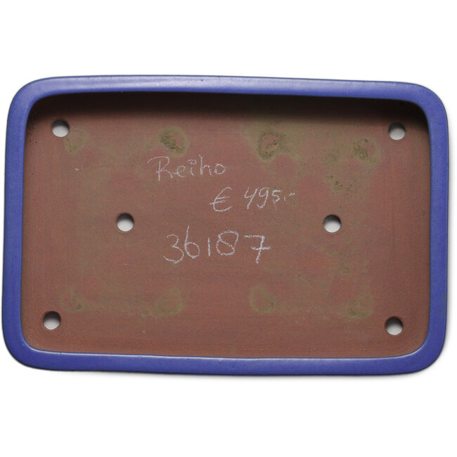 Maceta rectangular para bonsái azul de Seizan (Reihou, Kataoka Katsushi, maestro del horno Seizan) - 465 x 325 x 62 mm