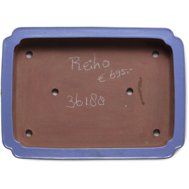 Rechteckiger blauer Bonsaitopf von Seizan (Reihou, Kataoka Katsushi, Meister Seizan-Ofen) – 505 x 365 x 90 mm