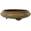 Round green bonsai pot by Itouen - 308 x 308 x 100 mm
