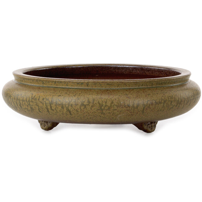 Round green bonsai pot by Itouen - 308 x 308 x 100 mm