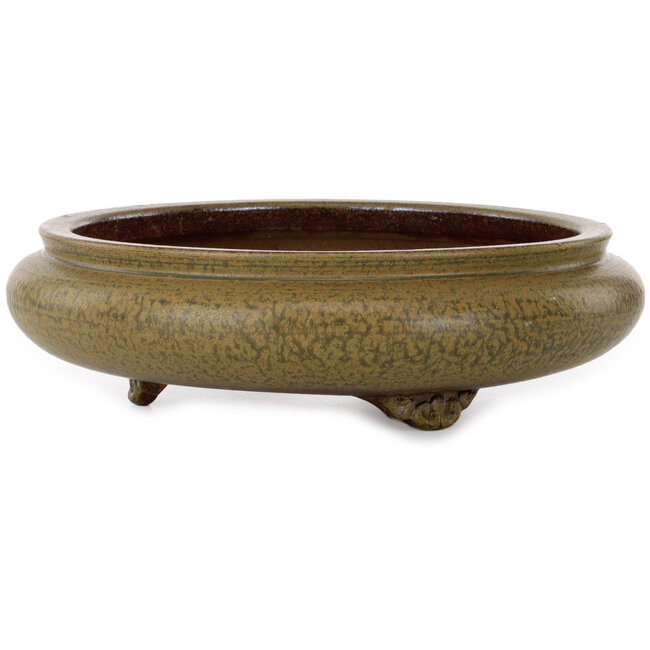 Round green bonsai pot by Itouen - 308 x 308 x 100 mm