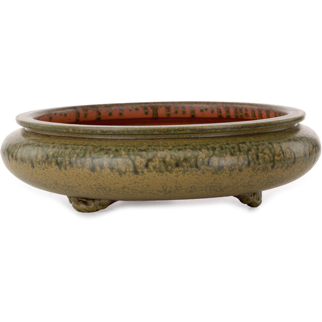 Round green bonsai pot by Itouen - 308 x 308 x 100 mm