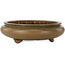 Round green bonsai pot by Itouen - 308 x 308 x 100 mm